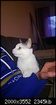 Nokia Lumia 920 - Fotoqualität-wp_20121107_021.jpg