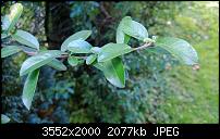 Nokia Lumia 920 - Fotoqualität-wp_20121106_070.jpg