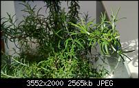 Nokia Lumia 920 - Fotoqualität-wp_20121108_024.jpg