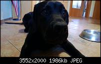 Nokia Lumia 920 - Fotoqualität-wp_20121109_002.jpg