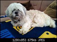 Nokia Lumia 920 - Fotoqualität-wp_20121109_056.jpg