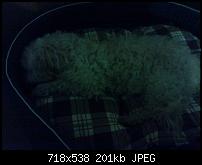 Nokia Lumia 920 - Fotoqualität-lumia800ohne.jpg