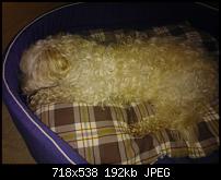 Nokia Lumia 920 - Fotoqualität-lumia800mit.jpg