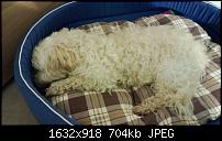 Nokia Lumia 920 - Fotoqualität-lumia920.jpg