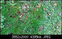 Nokia Lumia 920 - Fotoqualität-wp_20121116_017.jpg