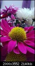 Nokia Lumia 920 - Fotoqualität-wp_20121123_007_634893933107093216.jpg