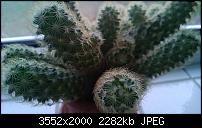 Nokia Lumia 920 - Fotoqualität-wp_20121129_011.jpg