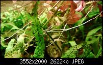 Nokia Lumia 920 - Fotoqualität-wp_20121129_037.jpg