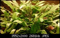 Nokia Lumia 920 - Fotoqualität-wp_20121129_038.jpg