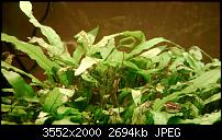 Nokia Lumia 920 - Fotoqualität-wp_20121129_039.jpg