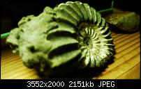 Nokia Lumia 920 - Fotoqualität-wp_20121129_048.jpg