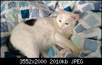 Nokia Lumia 920 - Fotoqualität-wp_20121130_020.jpg