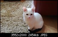 Nokia Lumia 920 - Fotoqualität-wp_20121130_025.jpg