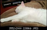 Nokia Lumia 920 - Fotoqualität-wp_20121130_026.jpg