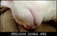 Nokia Lumia 920 - Fotoqualität-wp_20121130_032.jpg