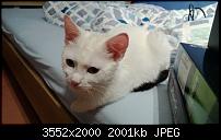 Nokia Lumia 920 - Fotoqualität-wp_20121130_034.jpg