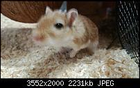 Nokia Lumia 920 - Fotoqualität-wp_20121130_043.jpg