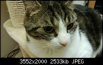 Nokia Lumia 920 - Fotoqualität-wp_20121130_021.jpg