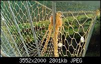 Nokia Lumia 920 - Fotoqualität-wp_20121201_005.jpg