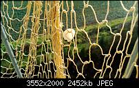 Nokia Lumia 920 - Fotoqualität-wp_20121201_007.jpg