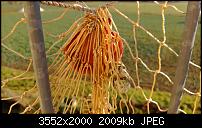 Nokia Lumia 920 - Fotoqualität-wp_20121201_012.jpg