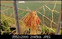 Nokia Lumia 920 - Fotoqualität-wp_20121201_014.jpg