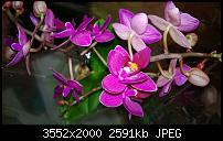 Nokia Lumia 920 - Fotoqualität-wp_20121201_017.jpg