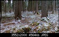 Nokia Lumia 920 - Fotoqualität-wp_20121201_002.jpg