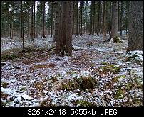 Nokia Lumia 920 - Fotoqualität-wp_20121201_004.jpg