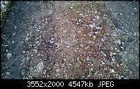 Nokia Lumia 920 - Fotoqualität-wp_20121201_006.jpg