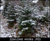 Nokia Lumia 920 - Fotoqualität-wp_20121201_008.jpg