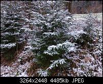 Nokia Lumia 920 - Fotoqualität-wp_20121201_010.jpg