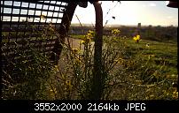 Nokia Lumia 920 - Fotoqualität-wp_20121125_016.jpg