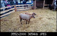 Nokia Lumia 920 - Fotoqualität-wp_20121202_010.jpg