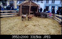 Nokia Lumia 920 - Fotoqualität-wp_20121202_011.jpg