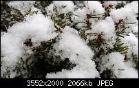 Nokia Lumia 920 - Fotoqualität-wp_20121202_004.jpg