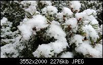 Nokia Lumia 920 - Fotoqualität-wp_20121202_007.jpg