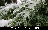 Nokia Lumia 920 - Fotoqualität-wp_20121204_006.jpg