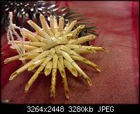 Nokia Lumia 920 - Fotoqualität-wp_20121201_021.jpg