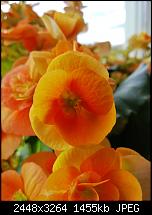 Nokia Lumia 920 - Fotoqualität-wp_20121125_002.jpg