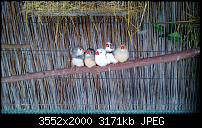 Nokia Lumia 920 - Fotoqualität-wp_20121206_001.jpg