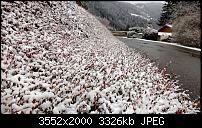 Nokia Lumia 920 - Fotoqualität-wp_20121202_004.jpg