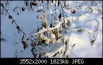 Nokia Lumia 920 - Fotoqualität-wp_20121208_009.jpg