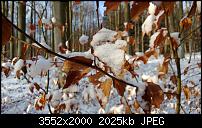 Nokia Lumia 920 - Fotoqualität-wp_20121208_015.jpg