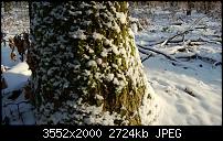 Nokia Lumia 920 - Fotoqualität-wp_20121208_034.jpg