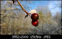 Nokia Lumia 920 - Fotoqualität-wp_20121208_068.jpg