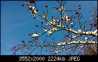 Nokia Lumia 920 - Fotoqualität-wp_20121208_070.jpg