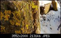 Nokia Lumia 920 - Fotoqualität-wp_20121208_073.jpg