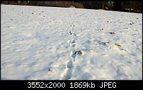 Nokia Lumia 920 - Fotoqualität-wp_20121208_086.jpg