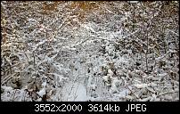 Nokia Lumia 920 - Fotoqualität-wp_20121208_089.jpg